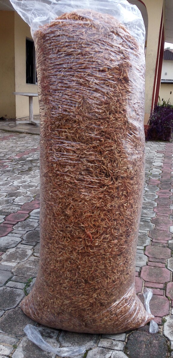 FOODSTUFF  CRAYFISH (ORON) BIG BAG CRAYFISH (ORON) BIG BAG