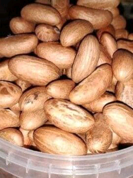 Bitterkola custard paint 4kg