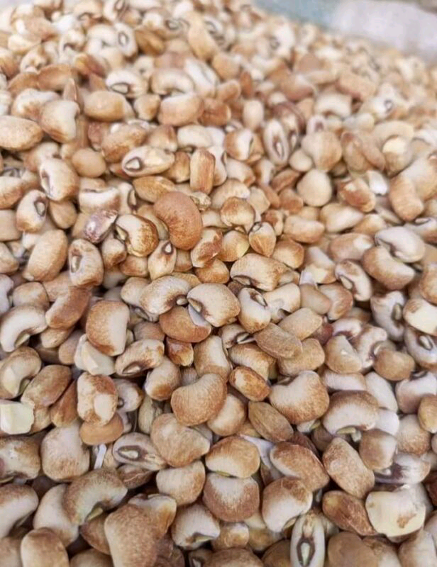 Handpicked Butter Beans custard paint 2.7kg