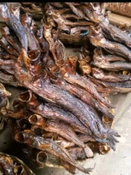 Dried croaker fish small sizes 100pcs( whole) x3.5kg