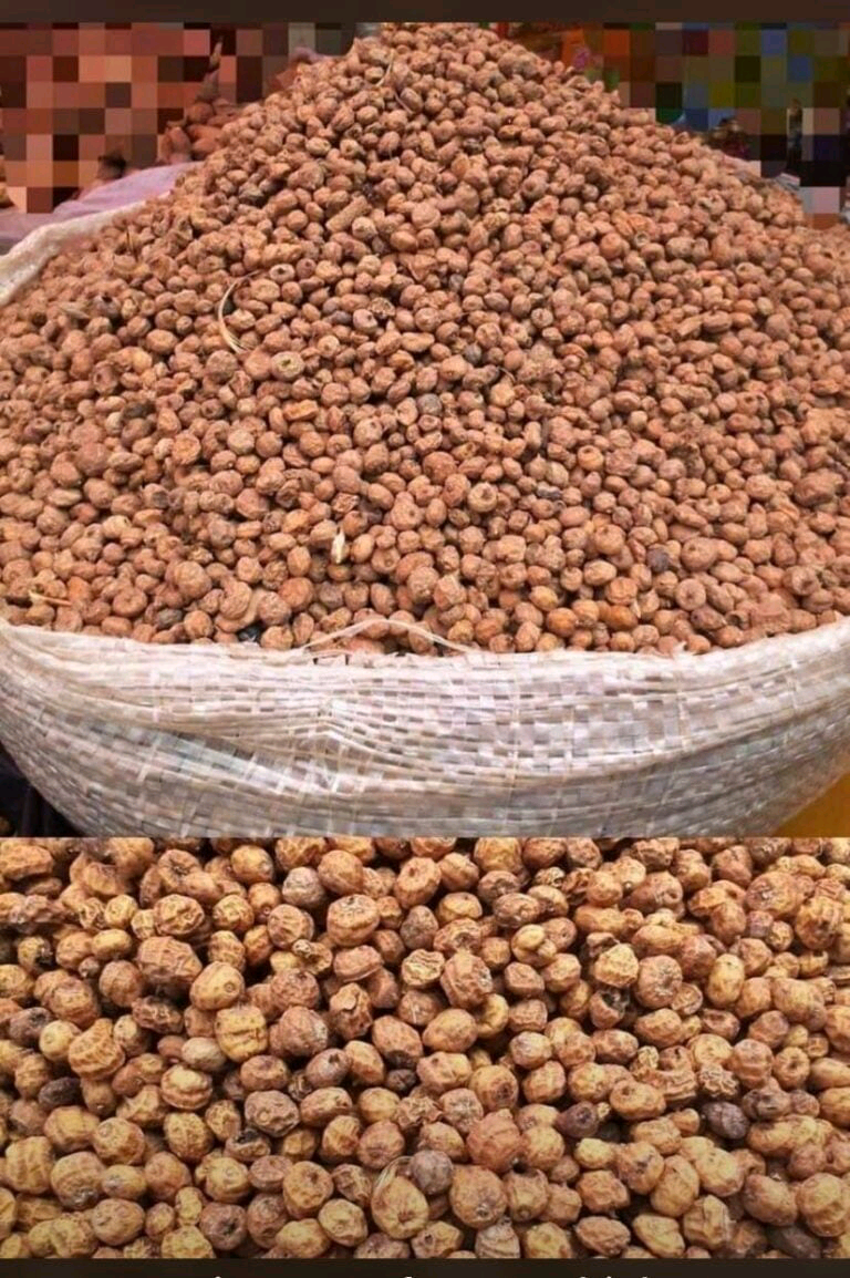 Dried tigernut custard paint 2.7kg